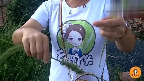 老公爆料秋子视频,真相背后引人深思 第1张 老公爆料秋子视频,真相背后引人深思 第1张